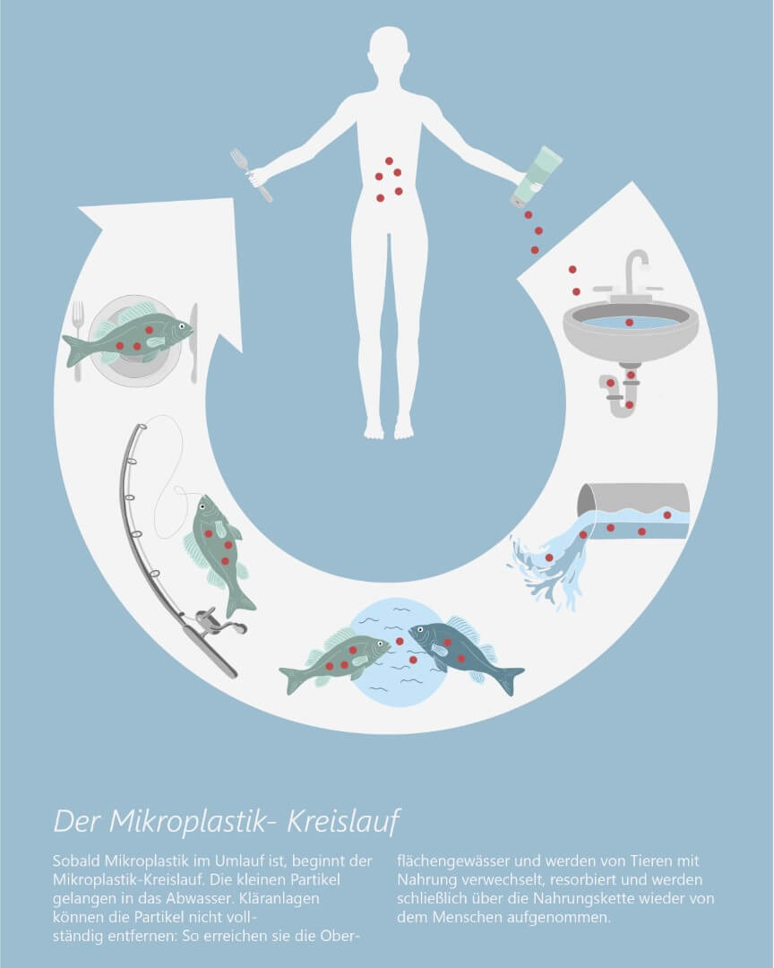 Grafiken zum Kreislauf von Mikroplastik.