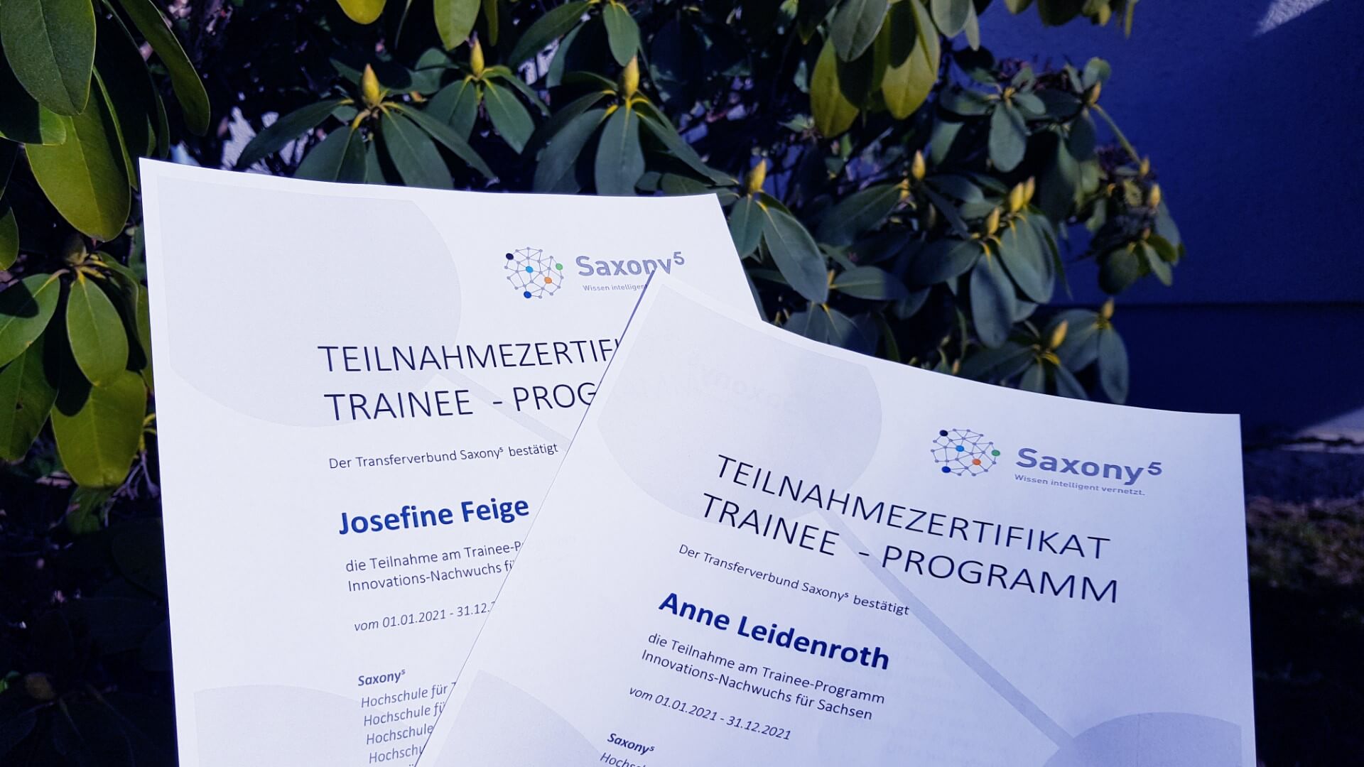 Zwei Teilnahmezertifikate vor einer Pflanze.
